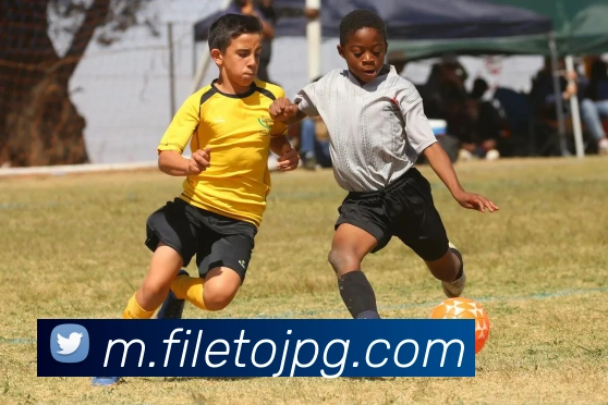 pg官网APP 体育赛事宣传图